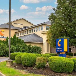 Comfort Suites